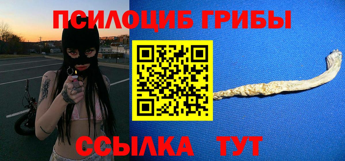 Псилоцибиновые грибы ЛСД  закладка  Муром  Вход с VPN 
